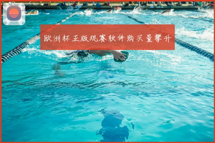 欧洲杯正版观赛软件购买量攀升