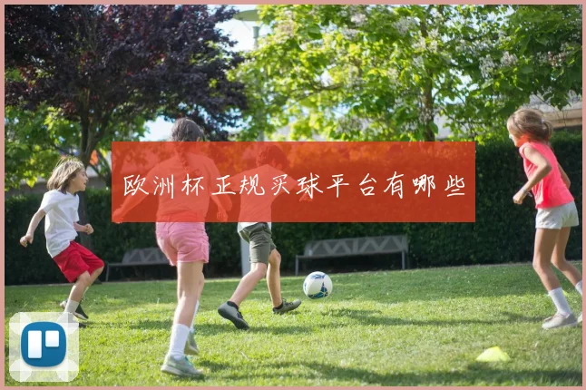 欧洲杯正规买球平台有哪些