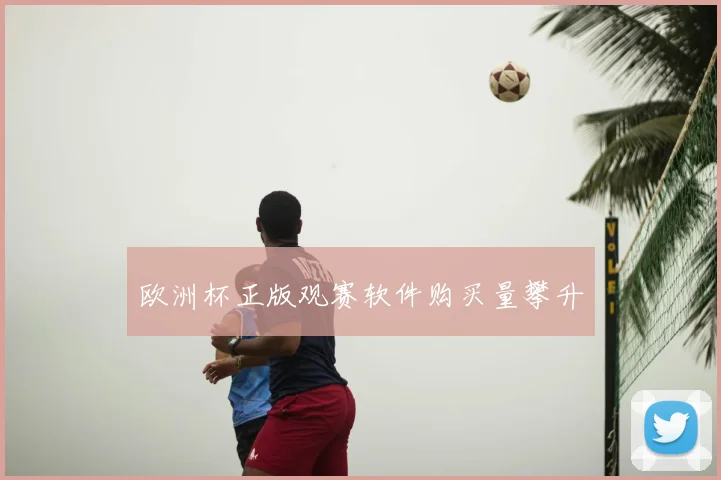 欧洲杯正版观赛软件购买量攀升