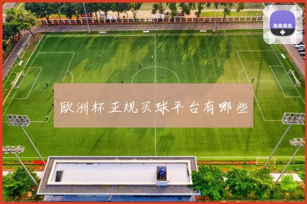 欧洲杯正规买球平台有哪些