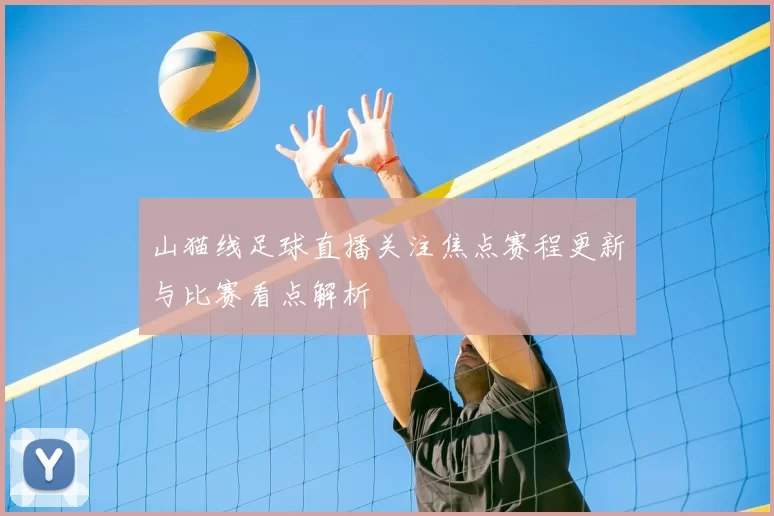 山猫线足球直播关注焦点赛程更新与比赛看点解析